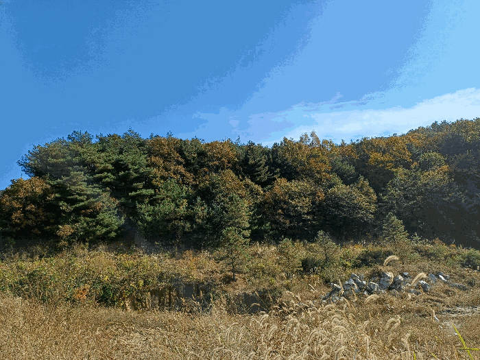 물건 사진 33