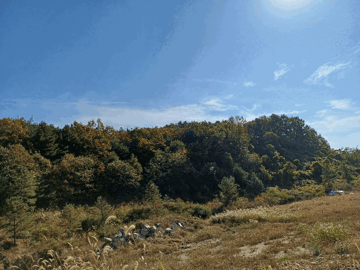 물건 사진 39