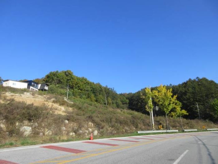 물건 사진 5