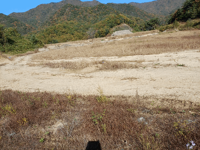물건 사진 43