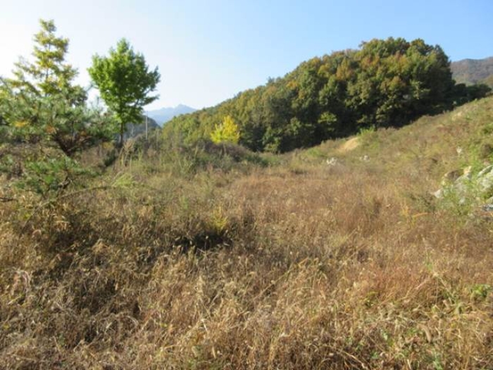 물건 사진 8