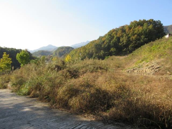 물건 사진 9