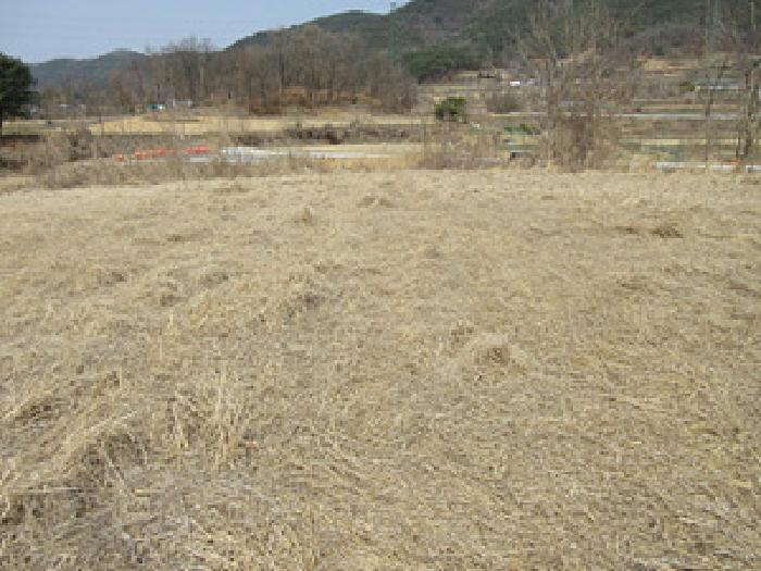 물건 사진 3