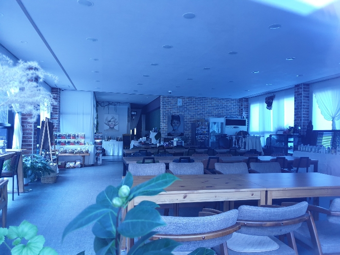 물건 사진 16