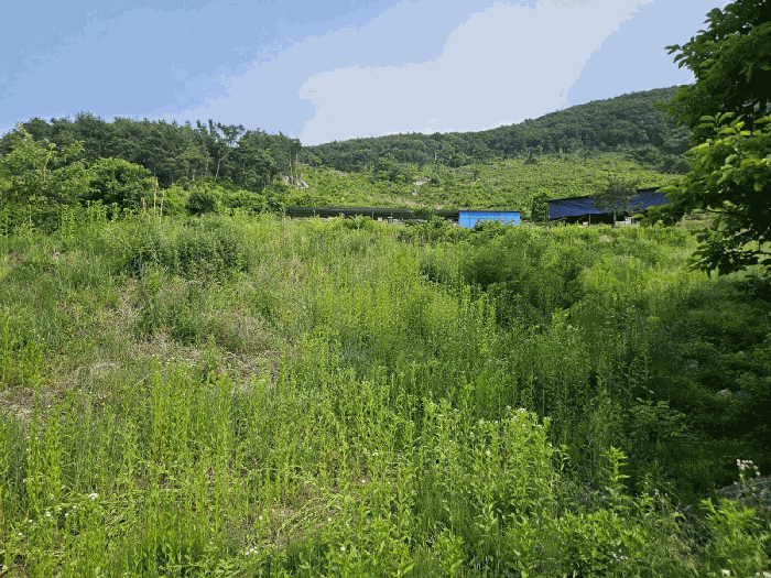 물건 사진 14