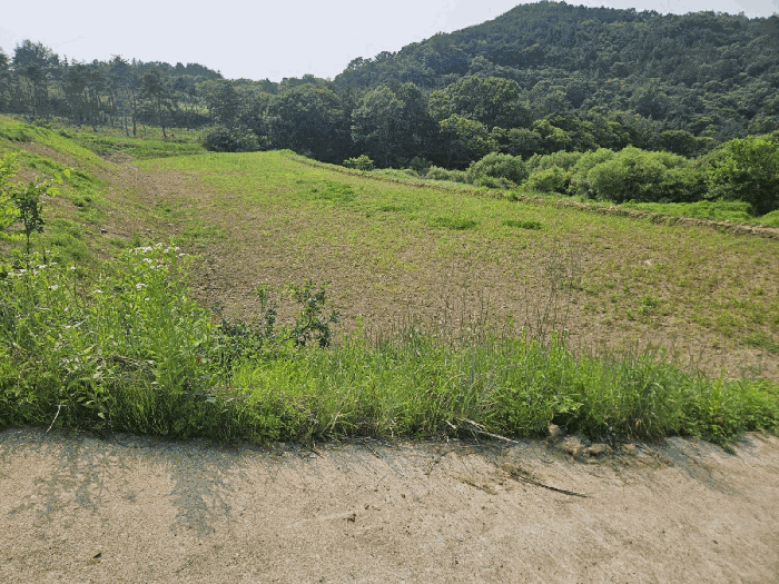 물건 사진 15