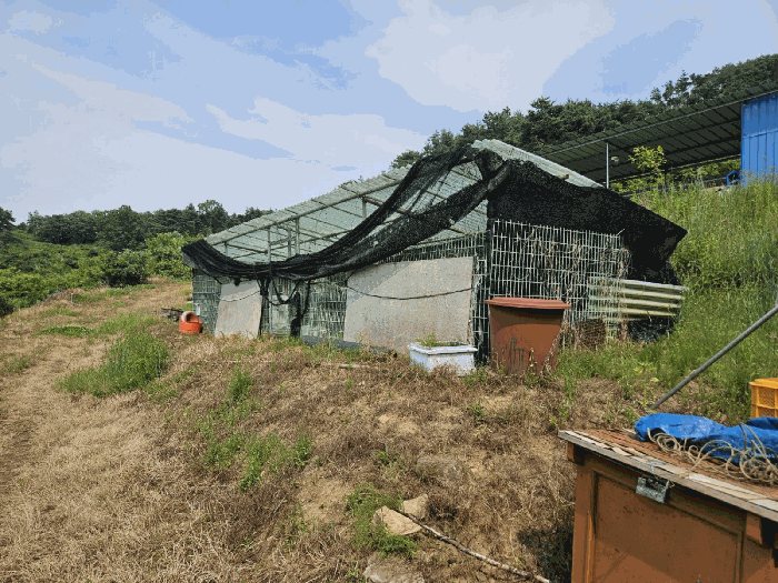 물건 사진 21