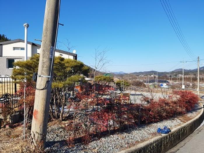 물건 사진 5