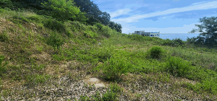물건 사진 10