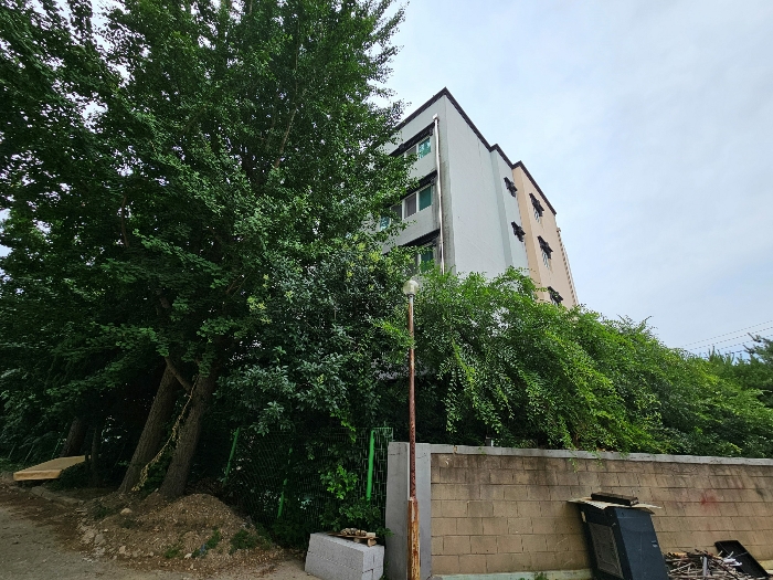 물건 사진 50