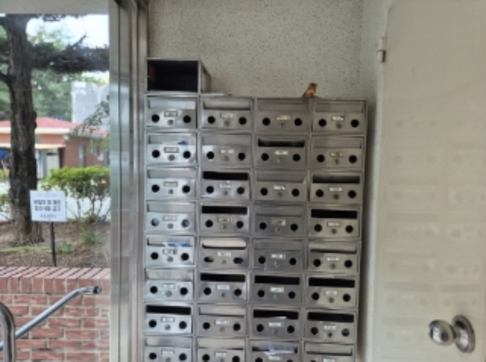 물건 사진 3