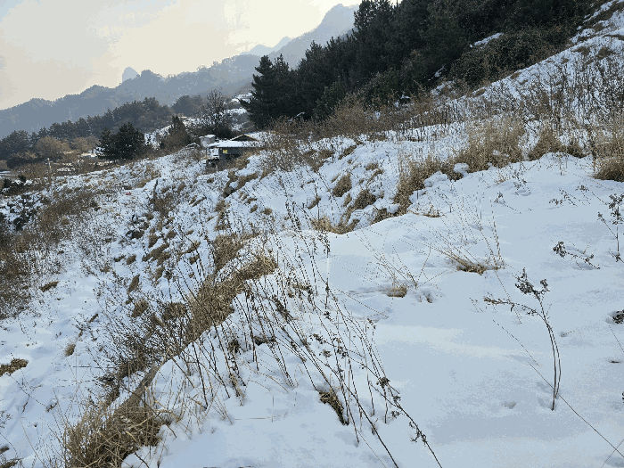 물건 사진 15