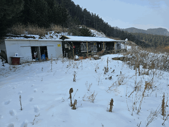 물건 사진 20