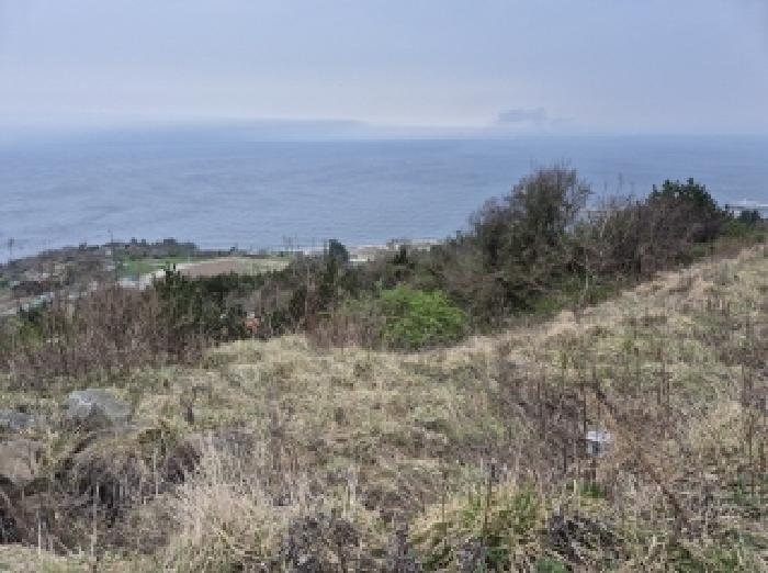 물건 사진 8