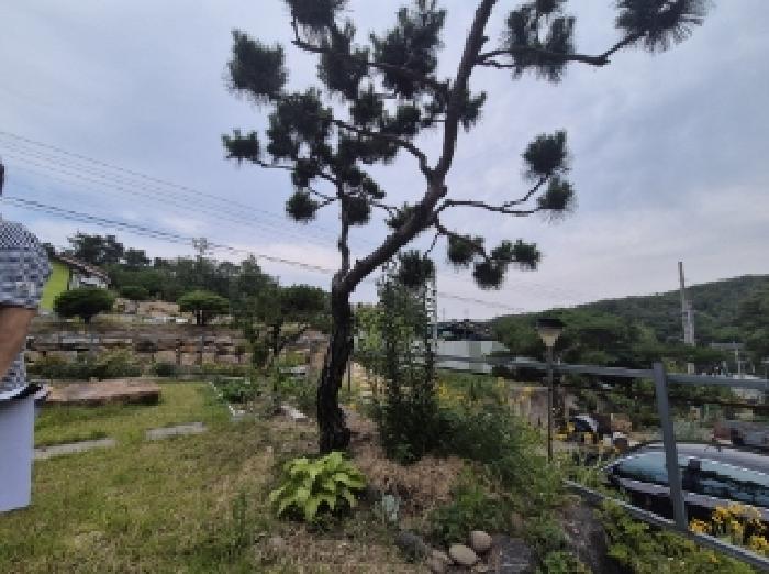 물건 사진 3