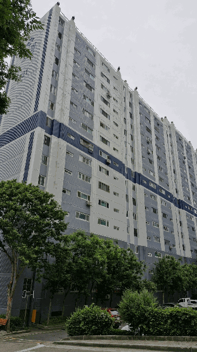 물건 사진 8
