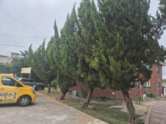 물건 사진 8