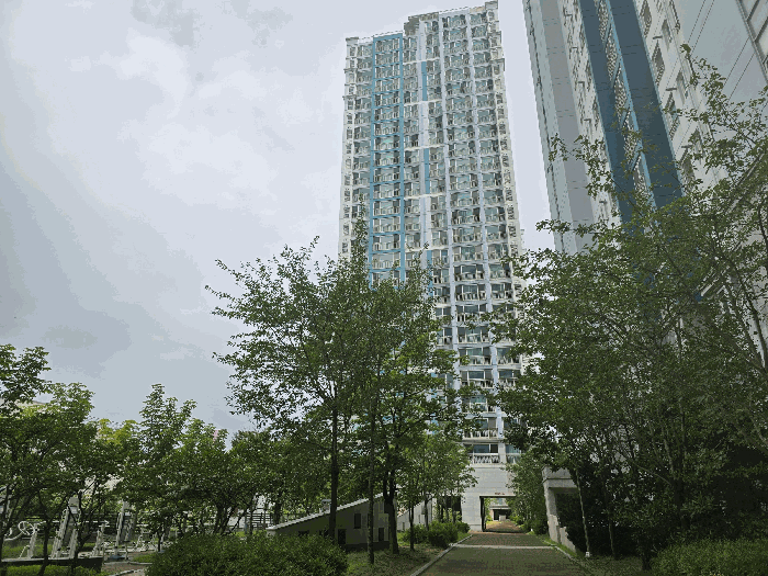 물건 사진 5