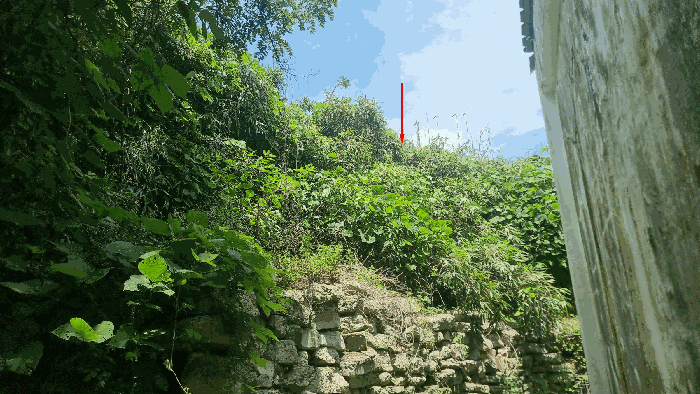 물건 사진 24