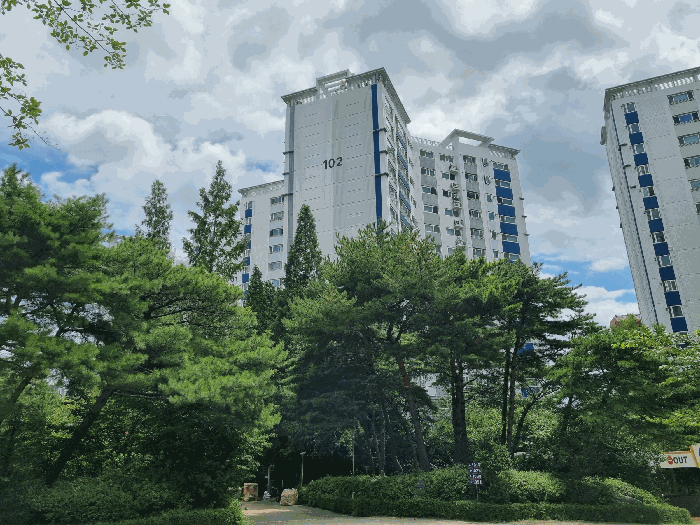 물건 사진 5
