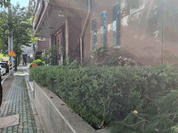 물건 사진 10