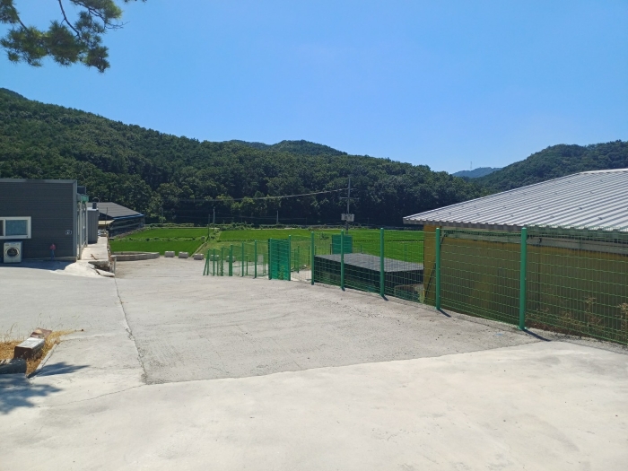 물건 사진 19