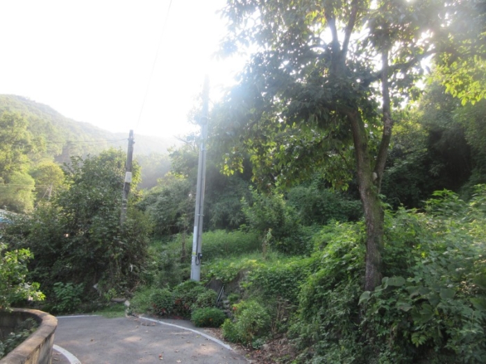 물건 사진 15