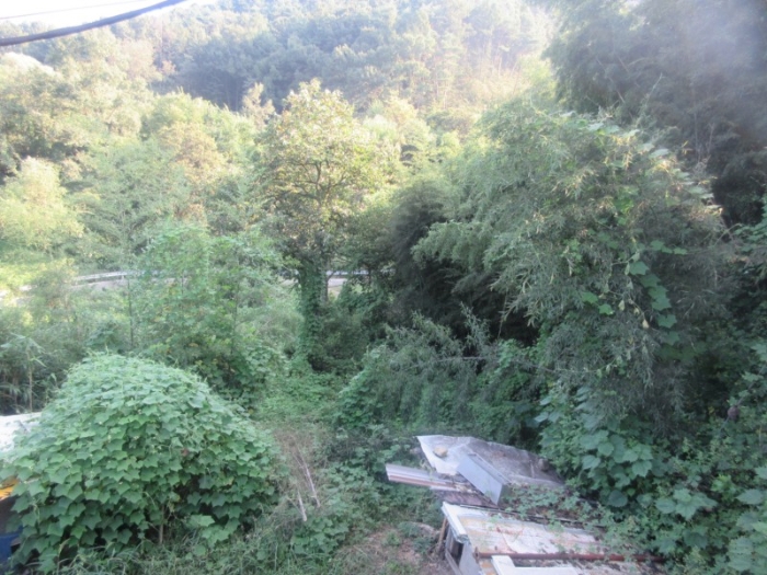 물건 사진 18