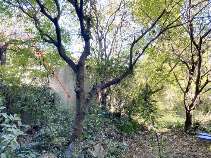 물건 사진 29