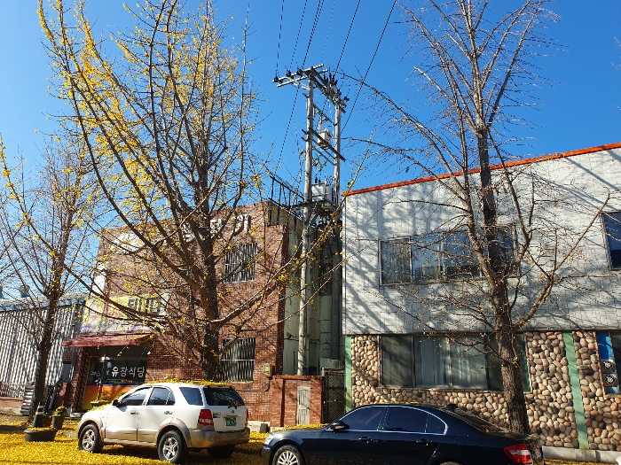 물건 사진 22
