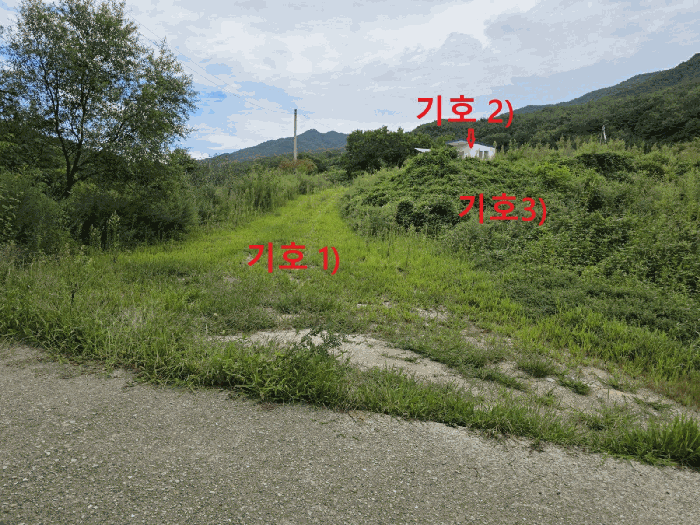 물건 사진 13