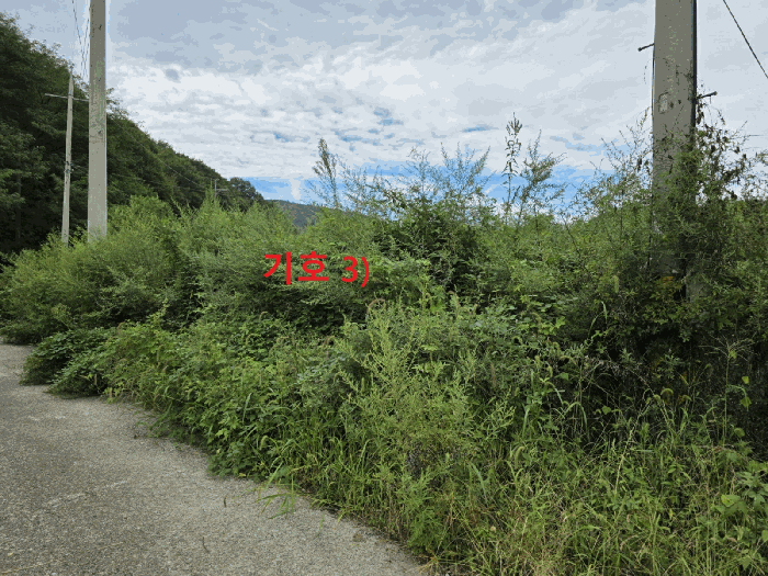 물건 사진 22