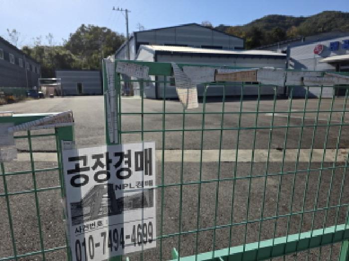 물건 사진 5