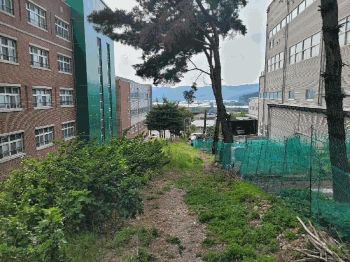 물건 사진 13