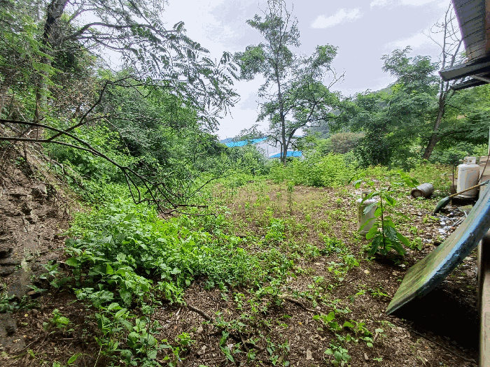물건 사진 19