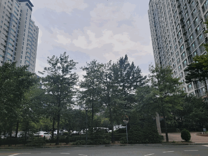물건 사진 19