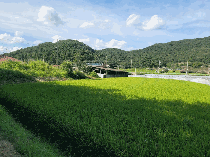 물건 사진 19