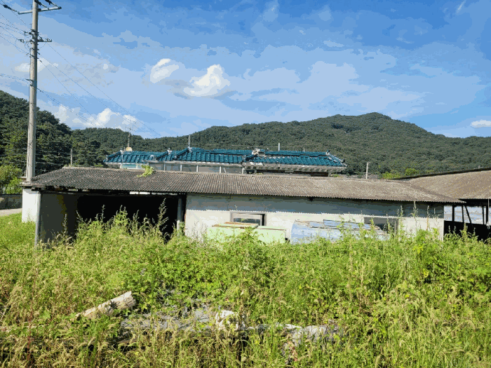 물건 사진 29