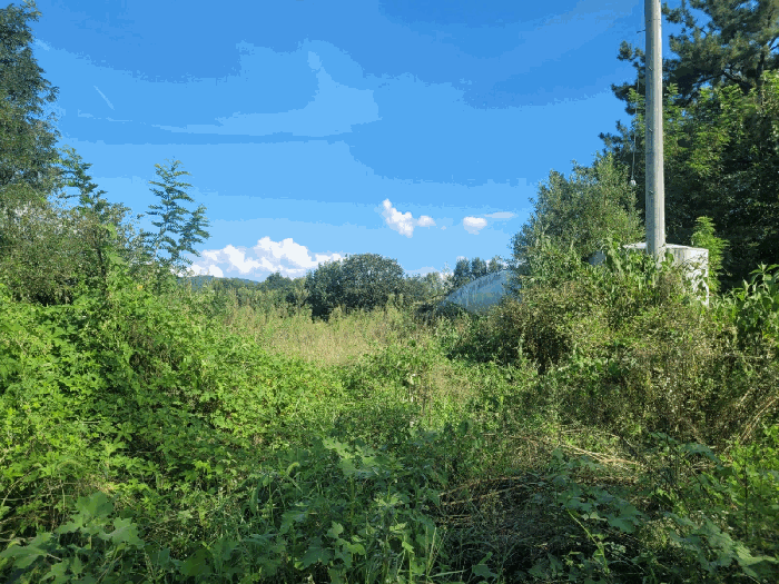 물건 사진 34