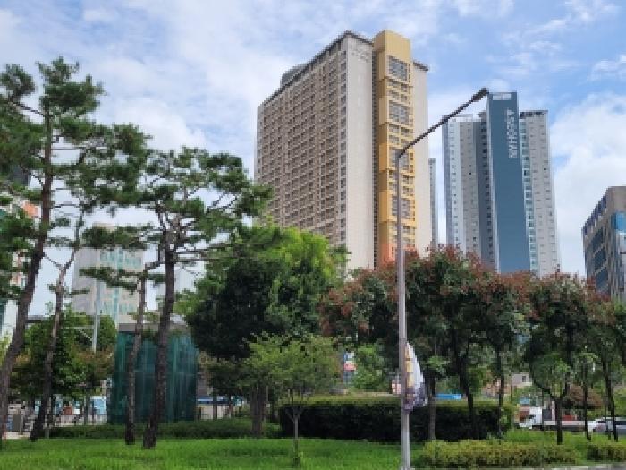 물건 사진 1
