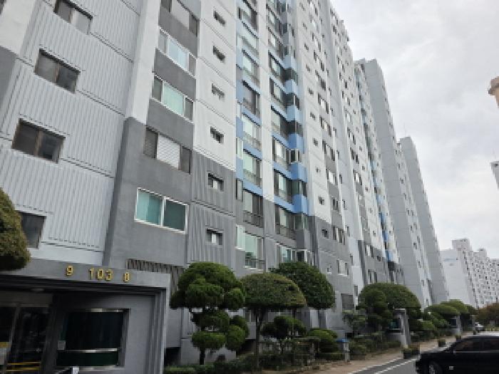 물건 사진 1