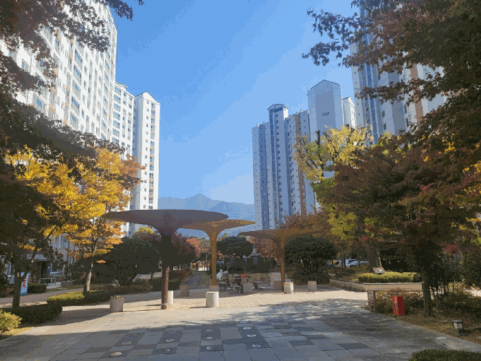 물건 사진 19