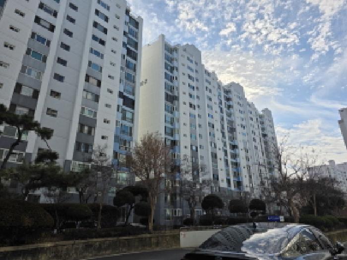 물건 사진 2