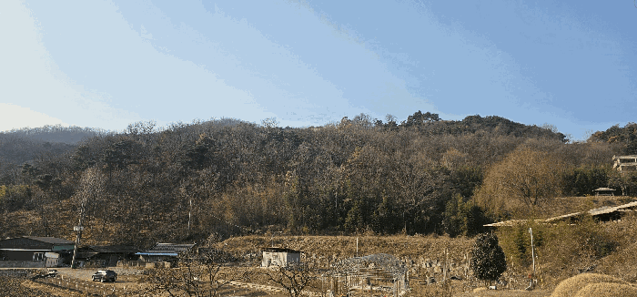물건 사진 19