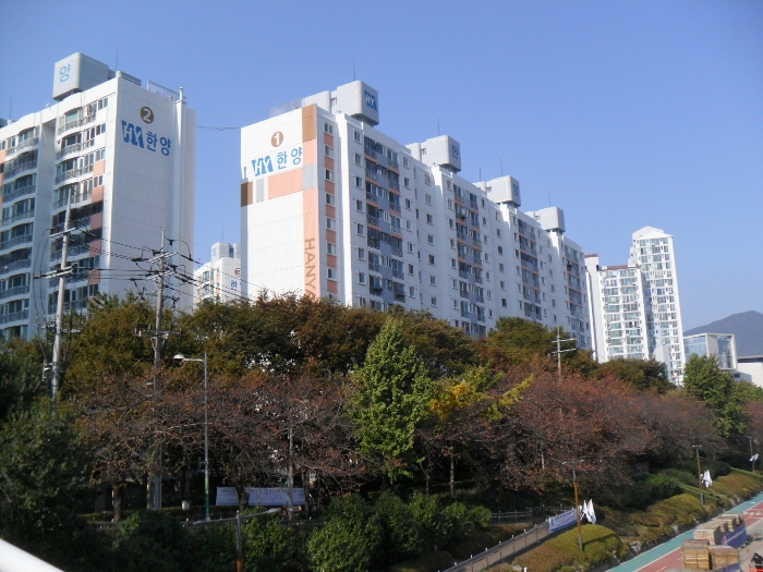 물건 사진 3