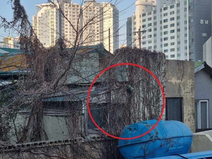 물건 사진 6