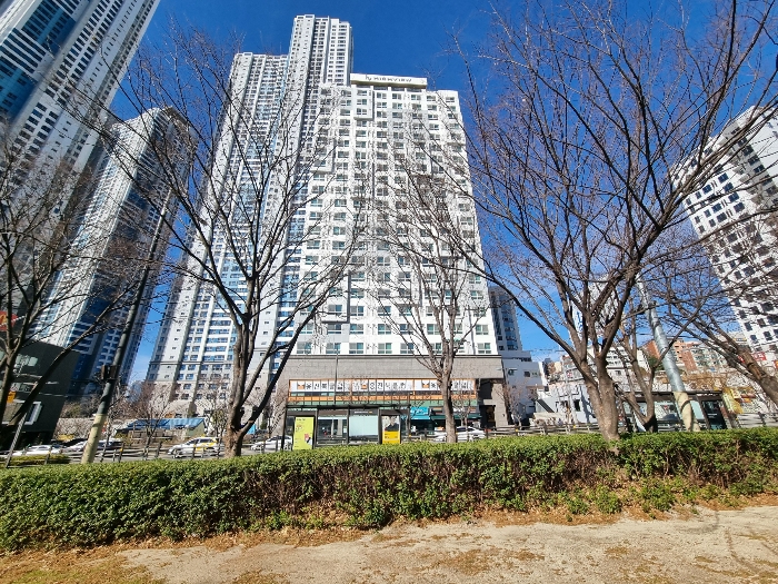 물건 사진 5