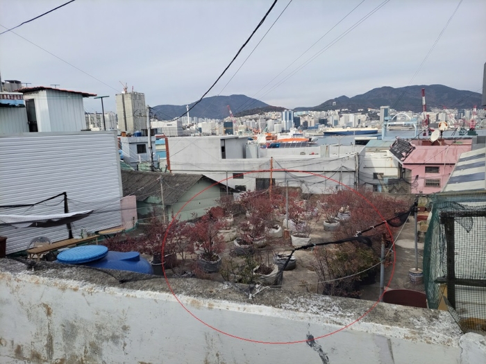 물건 사진 11