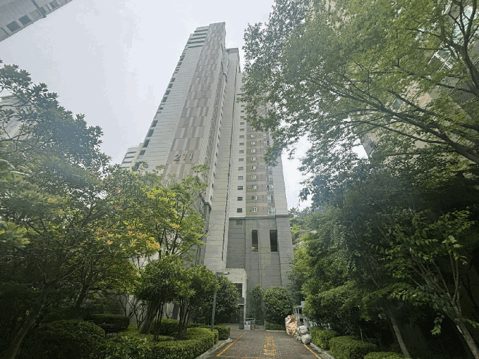 물건 사진 5