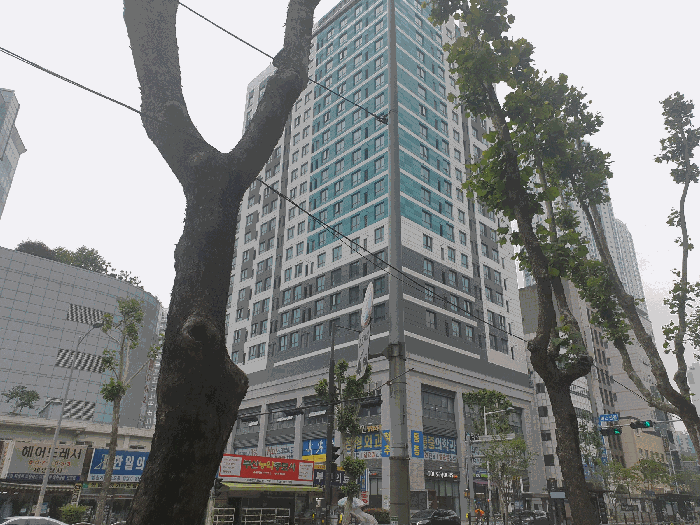 물건 사진 7